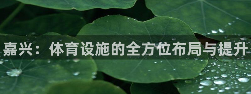 意昂体育4平台注册要钱吗：嘉兴：体育设施的全方位布局