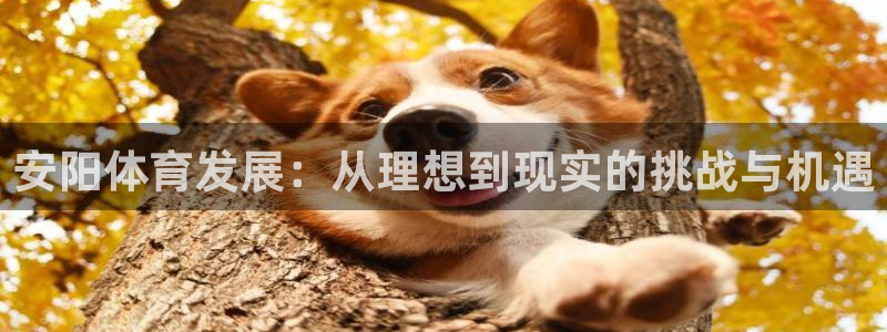 意昂4集团官网首页网址：安阳体育发展：从理想到现实的