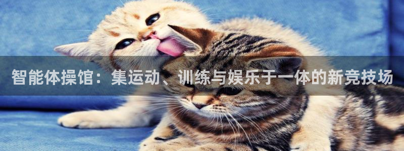 意昂4代理：智能体操馆：集运动、训练与娱乐于一体的新