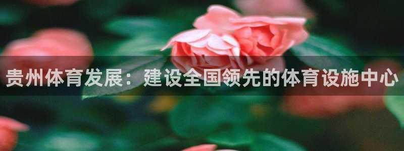 海南意昂体育4：贵州体育发展：建设全国领先的体育设施