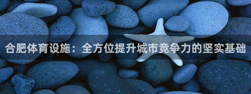 意昂4集团简介：合肥体育设施：全方位提升城市竞争力的