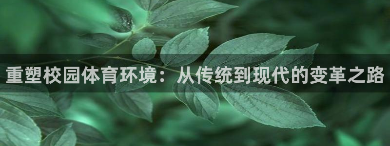 意昂4娱乐代理怎么样：重塑校园体育环境：从传统到现代