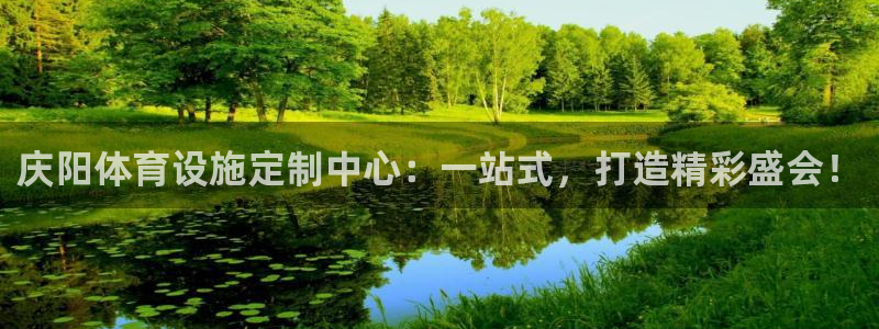 意昂体育4：庆阳体育设施定制中心：一站式，打造精彩盛