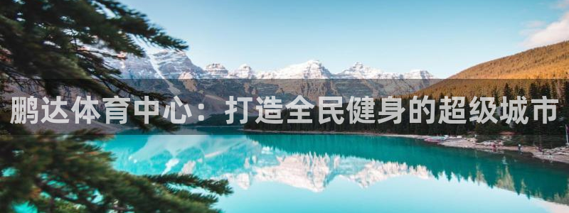 意昂体育4软件：鹏达体育中心：打造全民健身的超级城市