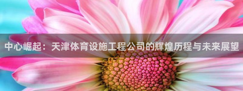 意昂4集团logo：中心崛起：天津体育设施工程公司的