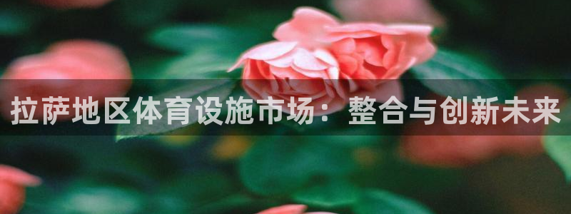 意昂体育4招商电话地址查询：拉萨地区体育设施市场：整