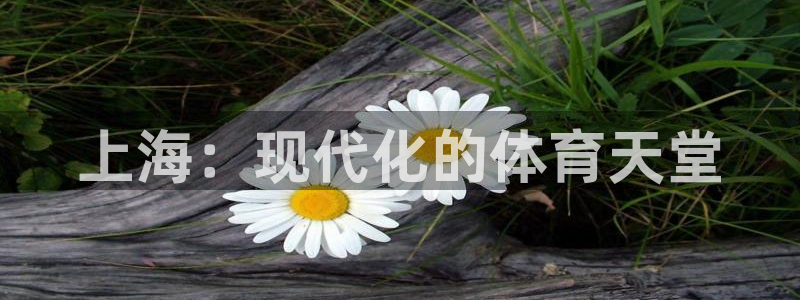 意昂体育4：上海：现代化的体育天堂