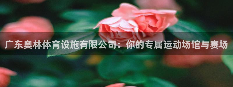 意昂4娱乐平台：广东奥林体育设施有限公司：你的专属运