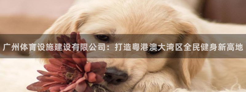 意昂4集团logo：广州体育设施建设有限公司：打造粤