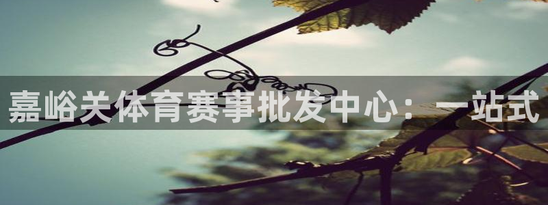 意昂4娱乐首页官网下载：嘉峪关体育赛事批发中心：一站