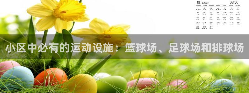 海南意昂体育4：小区中必有的运动设施：篮球场、足球场