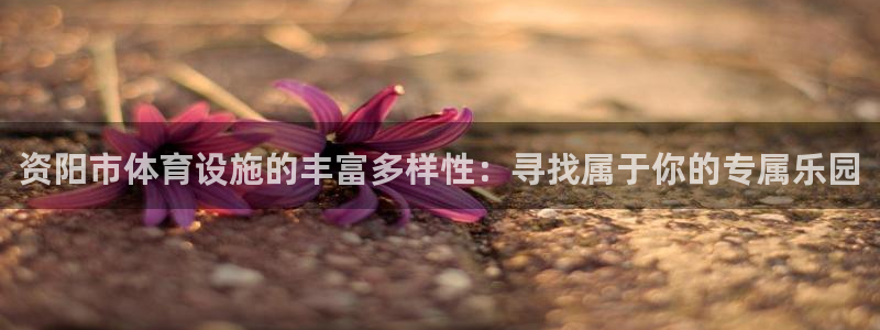 海南意昂体育4：资阳市体育设施的丰富多样性：寻找属于
