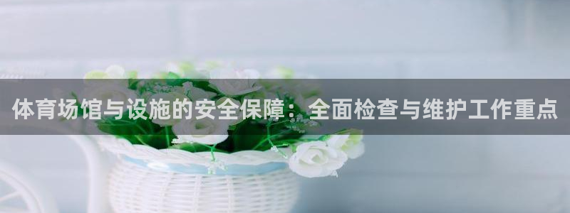 意昂4集团官网网址：体育场馆与设施的安全保障：全面检