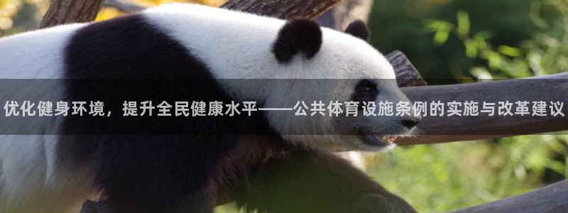 意昂4神州：优化健身环境，提升全民健康水平——公共体
