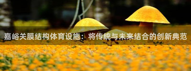 德国意昂4集团：嘉峪关膜结构体育设施：将传统与未来结