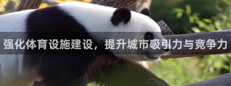 意昂4官网：强化体育设施建设，提升城市吸引力与竞争力