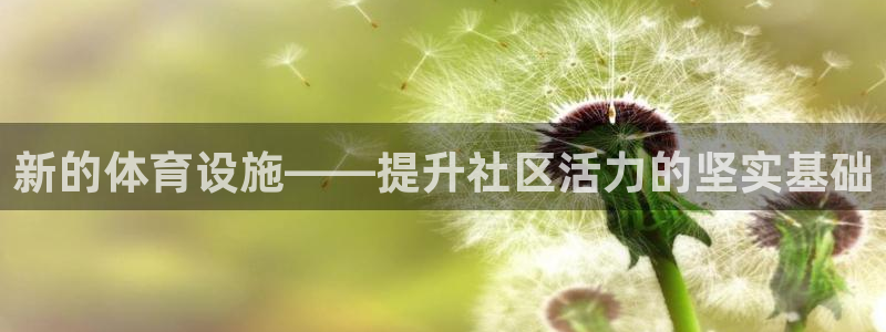 意昂体育4是干嘛的公司：新的体育设施——提升社区活力
