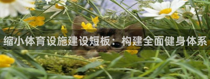 意昂4娱乐是那个系列的台子：缩小体育设施建设短板：构建全面健